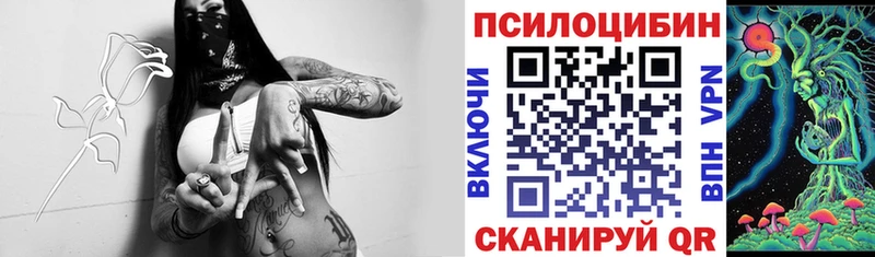 Галлюциногенные грибы мухоморы  где продают наркотики  Бронницы 